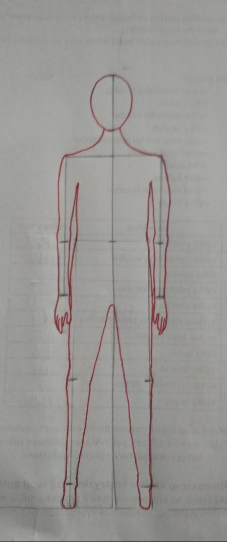 ANTROPOMETRIE - téma LP v 8. třídě - 4