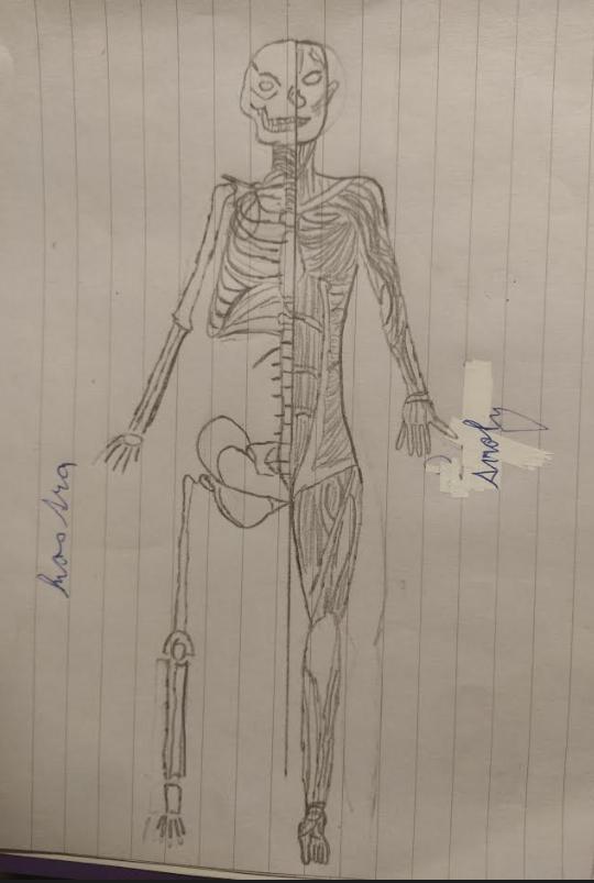 ANTROPOMETRIE - téma LP v 8. třídě - 6