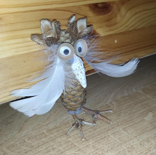 Spojení přírodopisu s pracovními činnostmi u sedmáků - 13