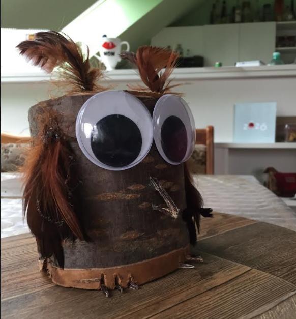 Spojení přírodopisu s pracovními činnostmi u sedmáků - 15