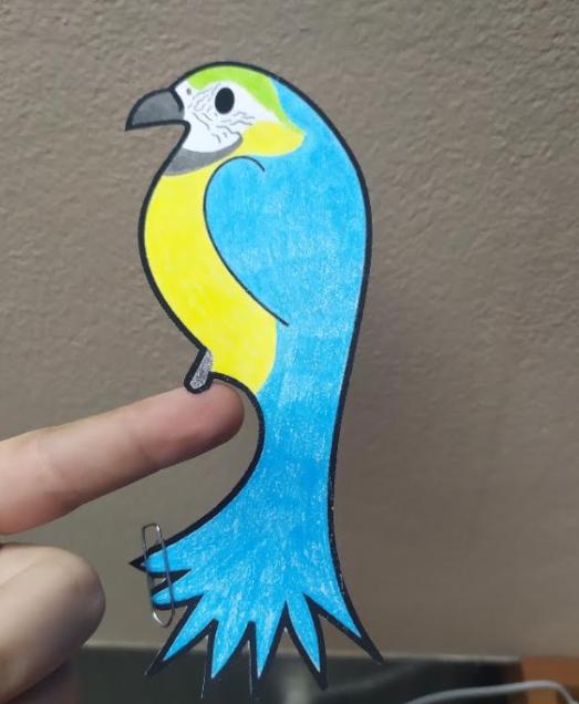 Papoušek na prstu - sedmáci - 13