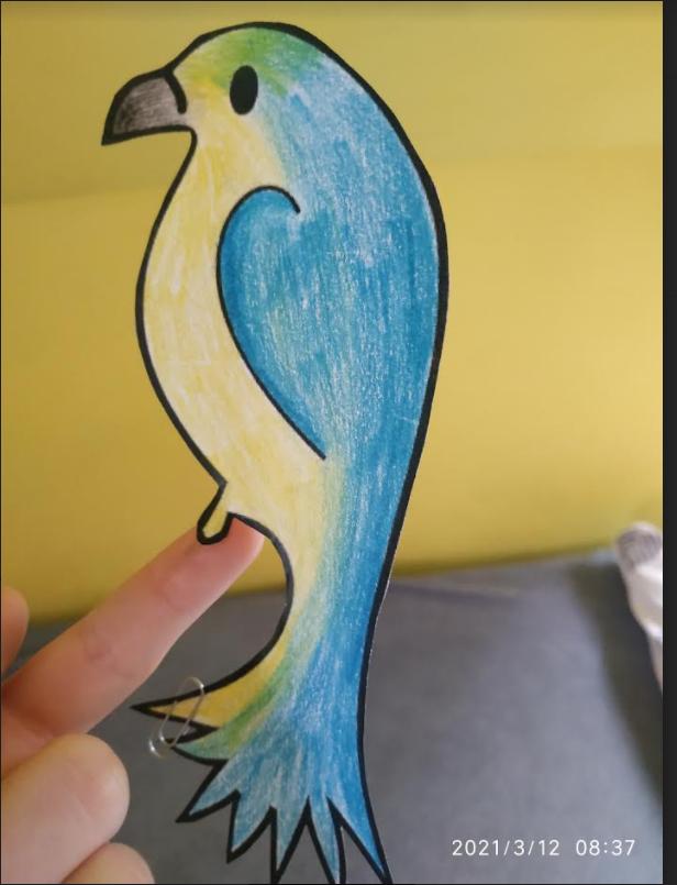 Papoušek na prstu - sedmáci - 14