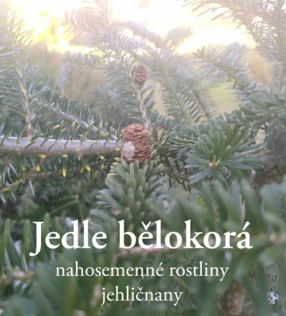 Taxonomie rostlin - sedmáci - 19