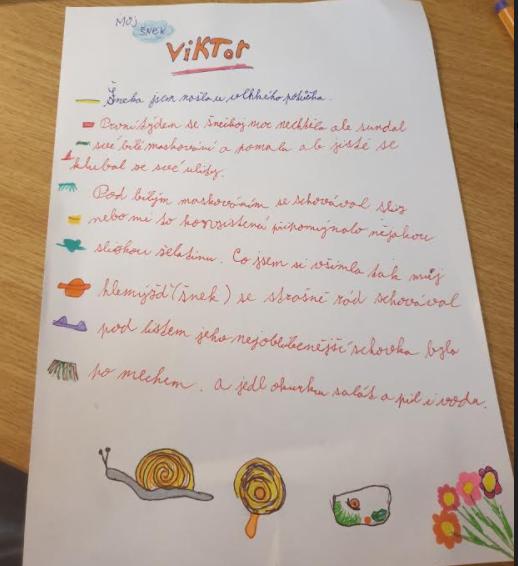 Projekt "Hlemýžď" v 6. třídě - 6