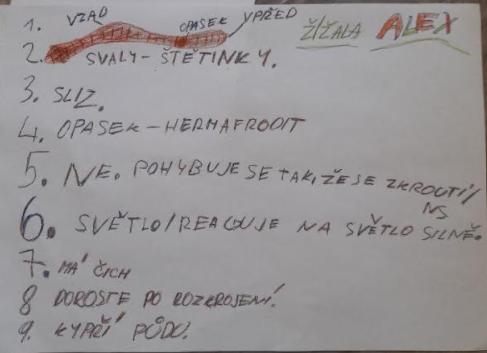 Pozorování žížaly - 6. třída - 3