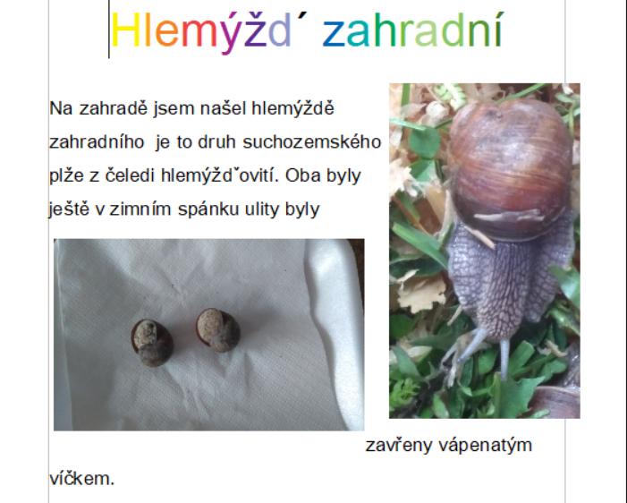 Projekt "Hlemýžď" v 6. třídě - 9
