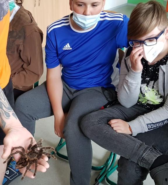 Přednáška o exotických zvířatech - 11