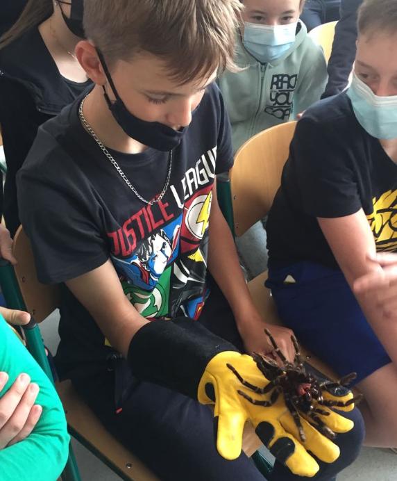 Přednáška o exotických zvířatech - 14