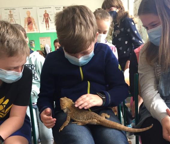 Přednáška o exotických zvířatech - 16