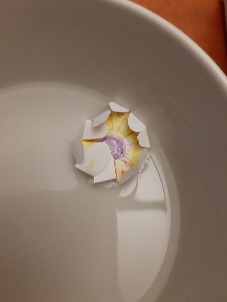 Projektový den svatý Martin a týden pokusů v 5.A - 12