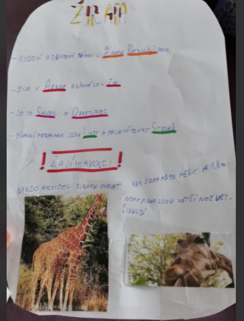 Škola doma v 5.B - 17