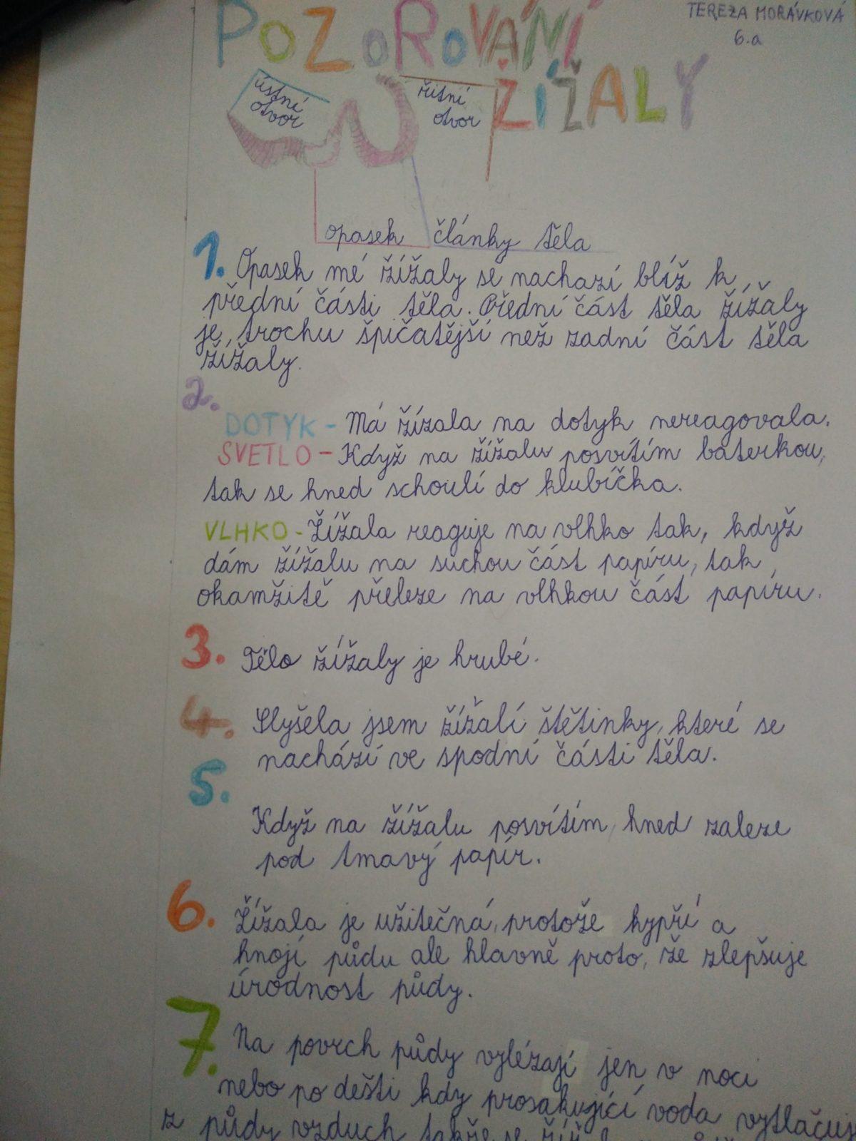 Jak zkoumali šesťáci žížaly - 11