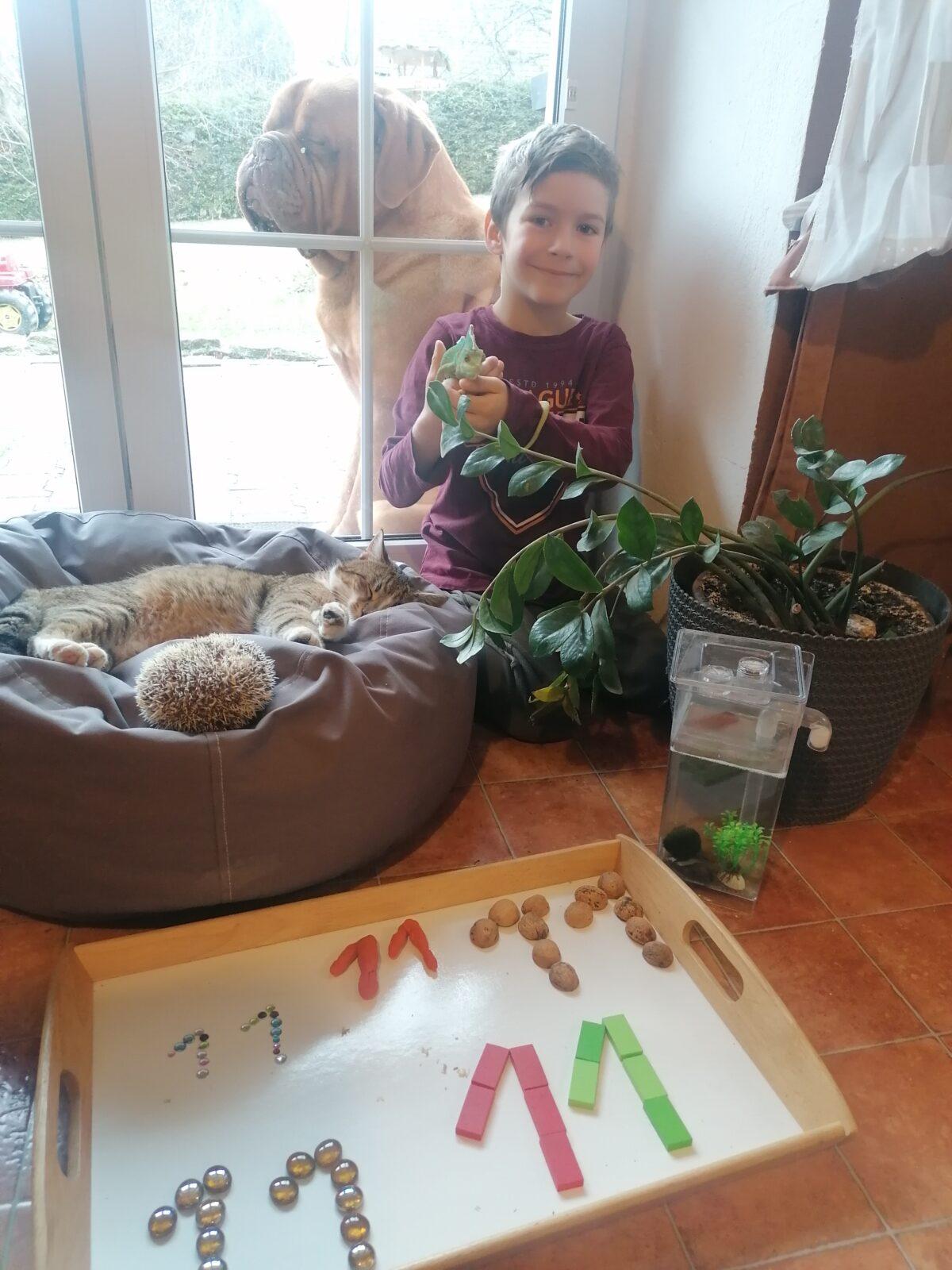 První zkušenost prvňáčků s distanční výukou - 38