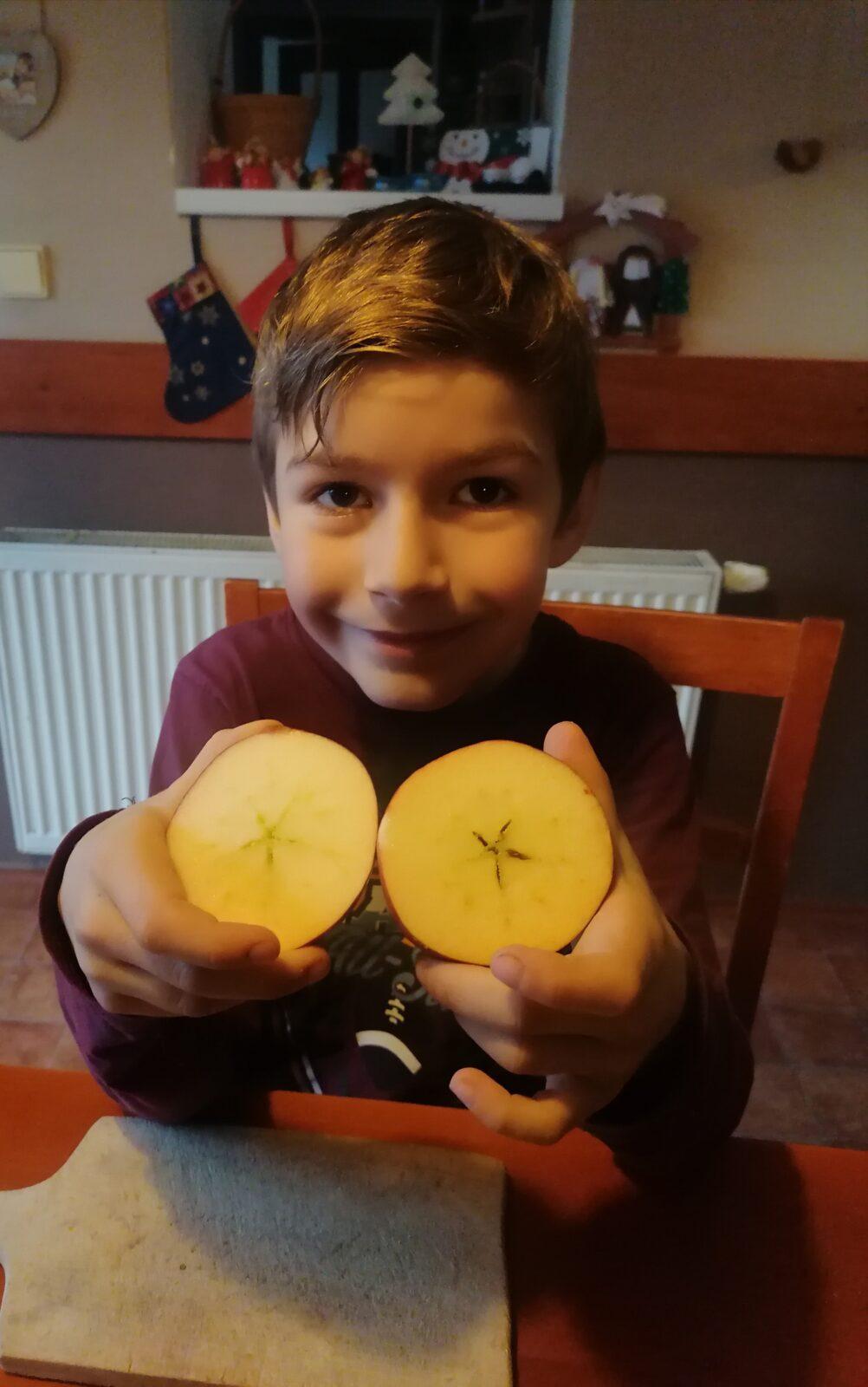 První zkušenost prvňáčků s distanční výukou - 40