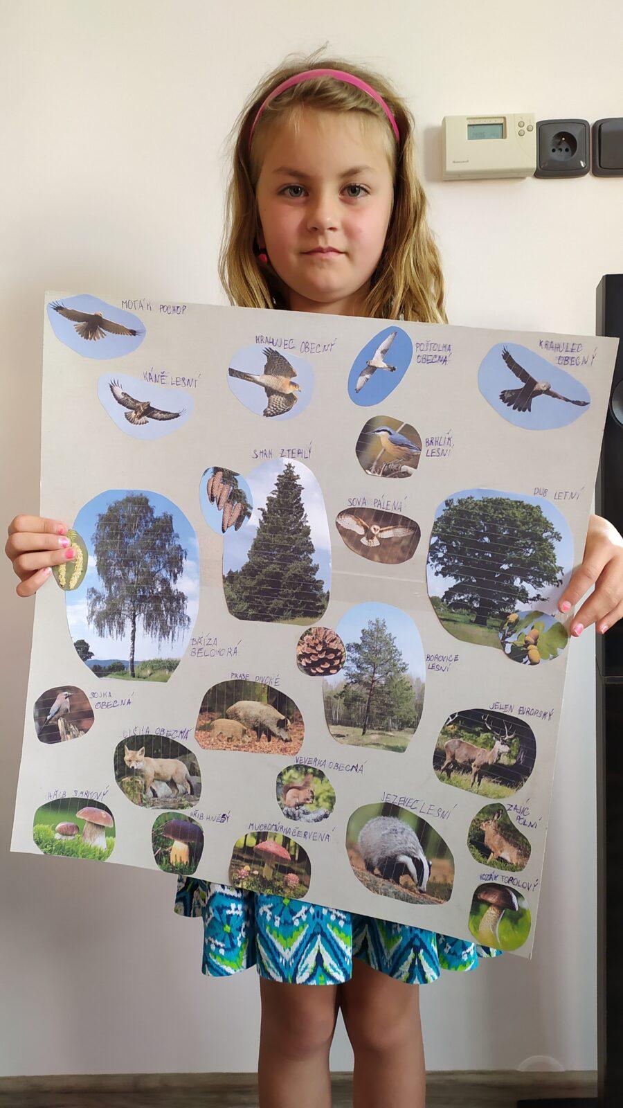 Výstupy druháčků z domácího i školního učení 16. 6. - 40