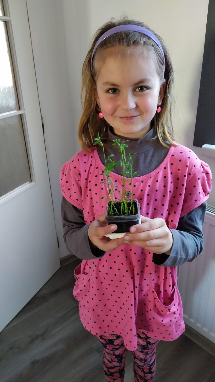 Výstupy druháčků z domácího učení 8. 4. - 19