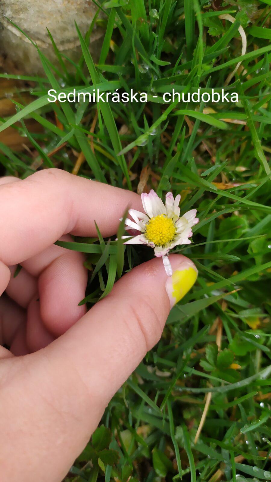 Distanční výuka ve třetí třídě 16. 4. - 32