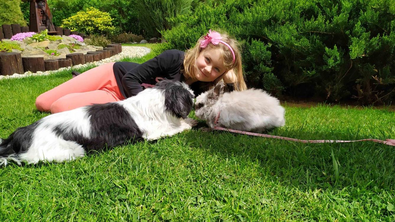 Výstupy druháčků z domácího učení 5. 5. - 24