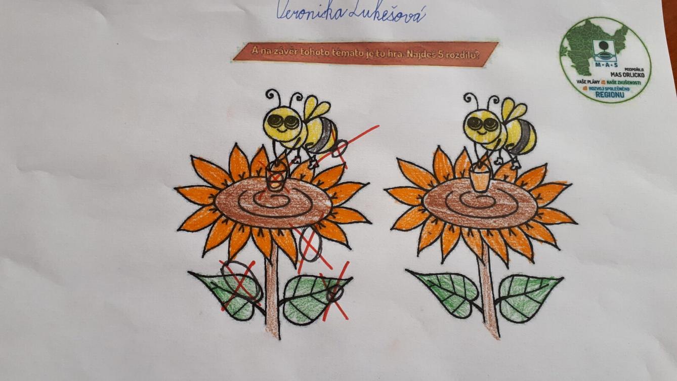 Distanční výuka ve třetí třídě 31. 3. - 29