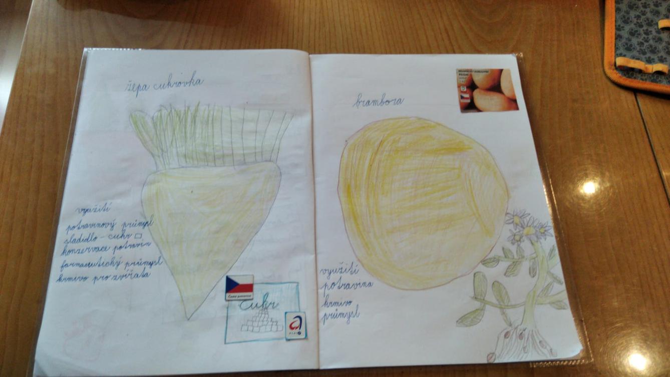 Distanční výuka ve třetí třídě 23. 10. - 45