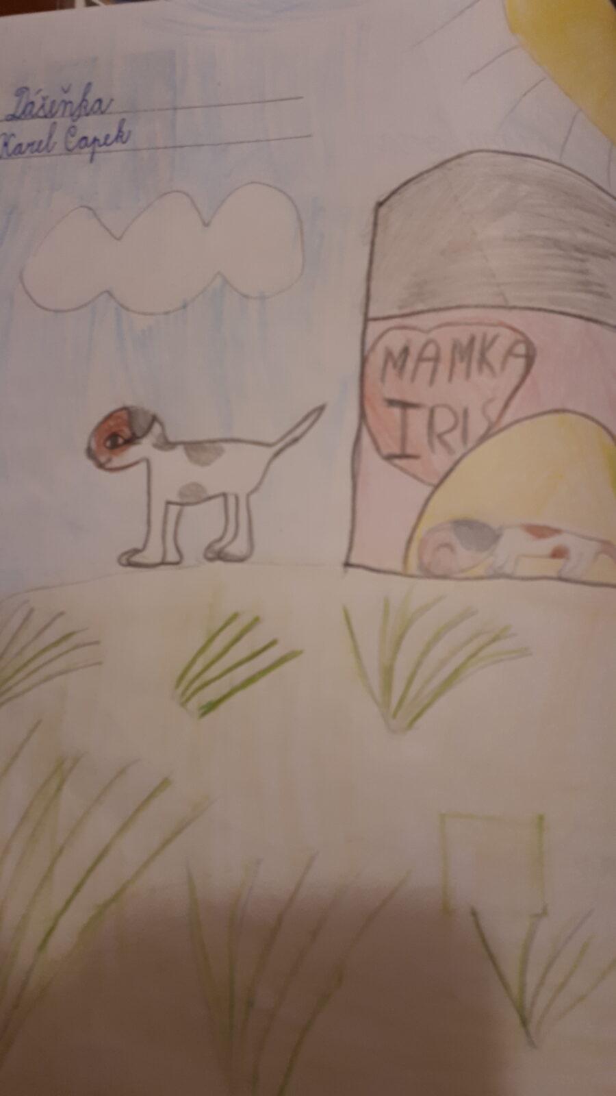 Distanční výuka ve třetí třídě 23. 10. - 46