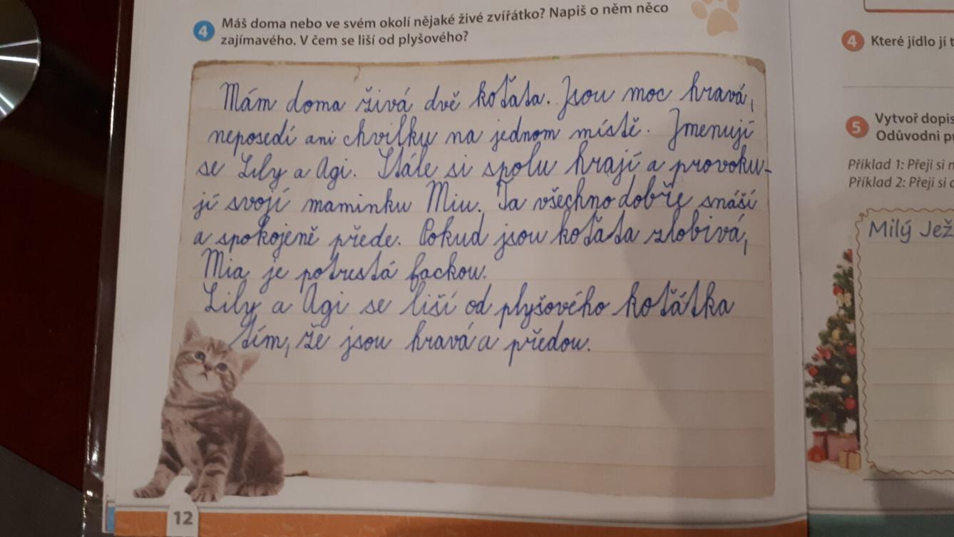 Distanční výuka ve třetí třídě 6. 11. - 47