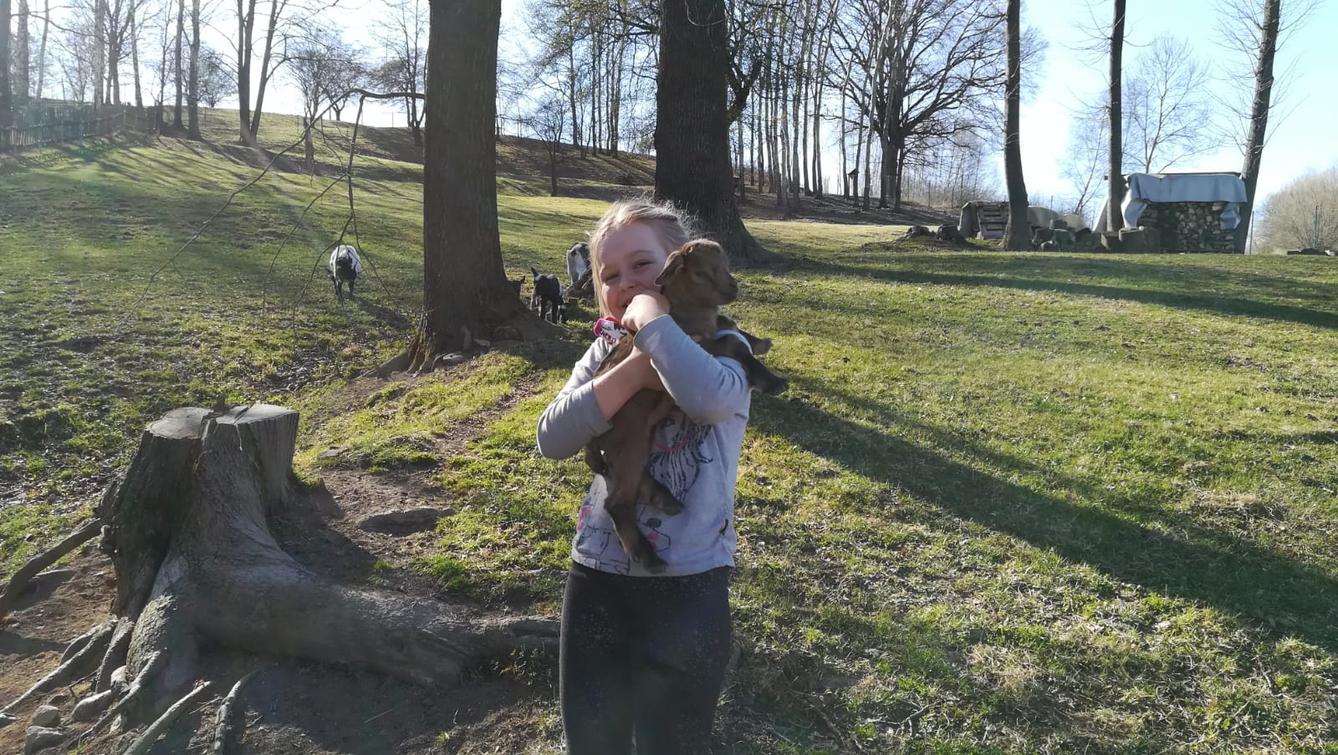 Výstupy druháčků z domácího učení 13. 4. - 13