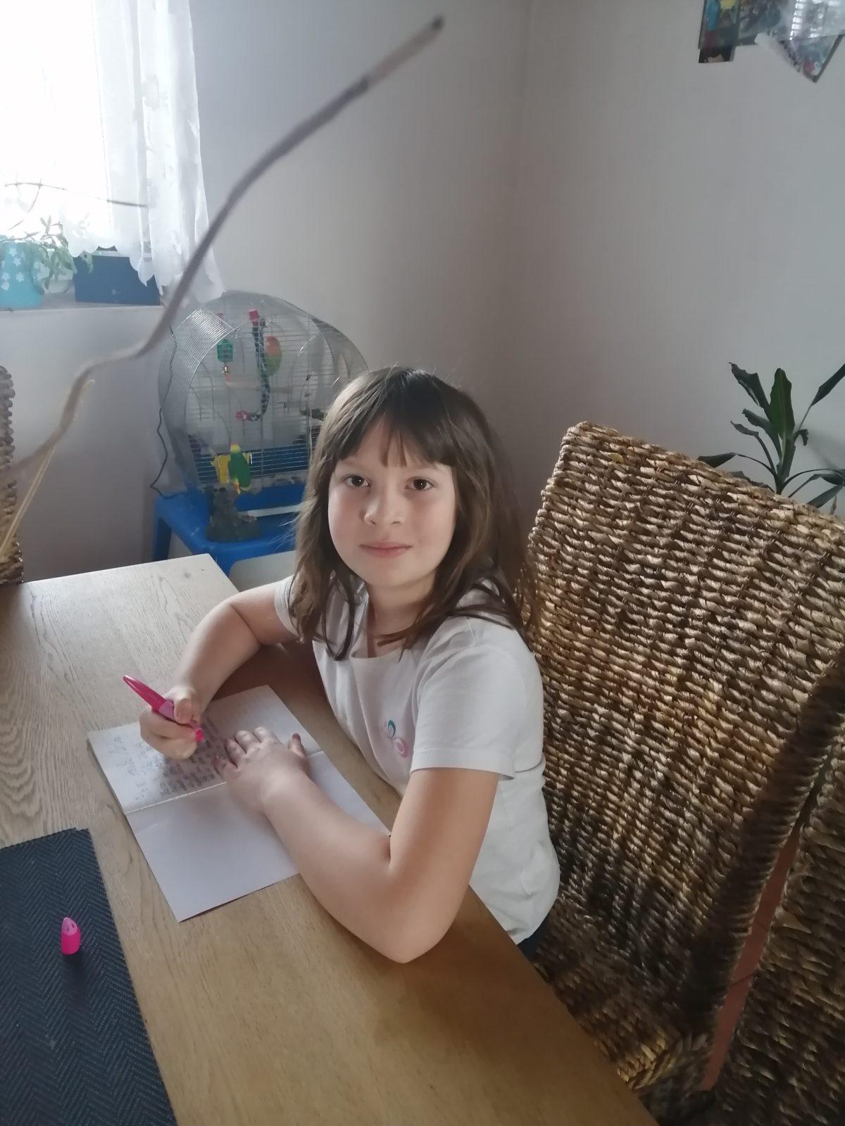 Výstupy druháčků z domácího učení 2. 4. - 9