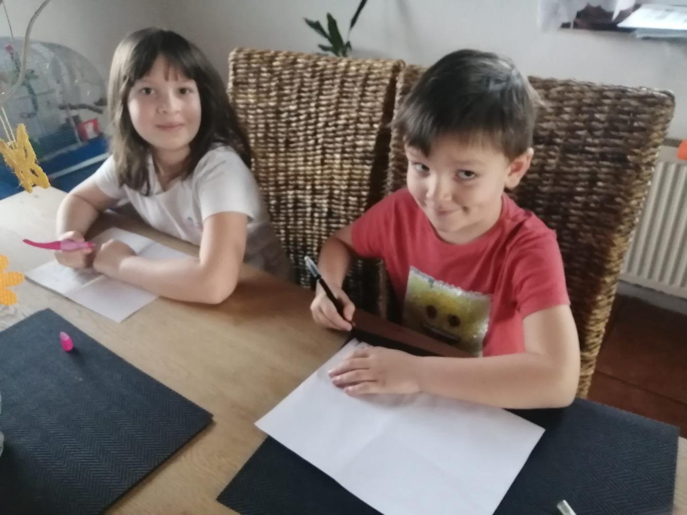 Aktivity druháčků v rámci domácího učení - pokračování - 14