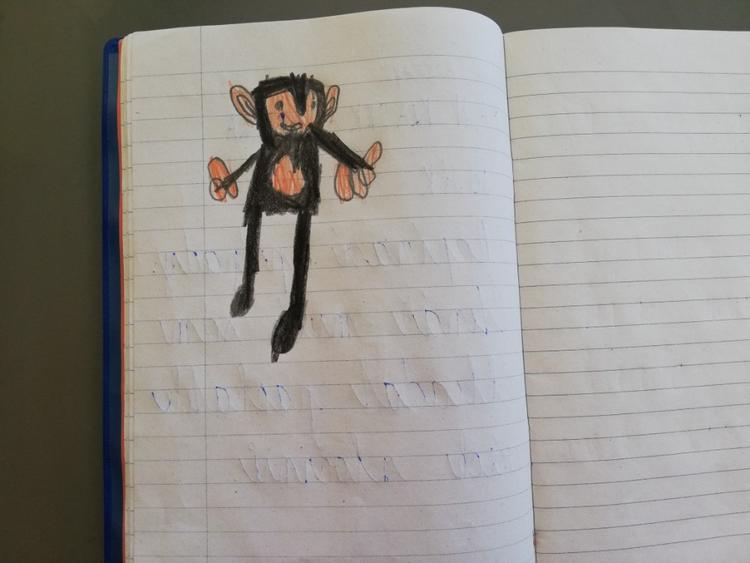 Výstupy druháčků z domácího učení 16. 4. - 21