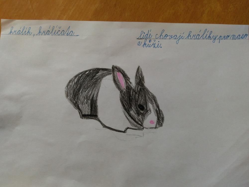 Výstupy druháčků z domácího učení 16. 4. - 16