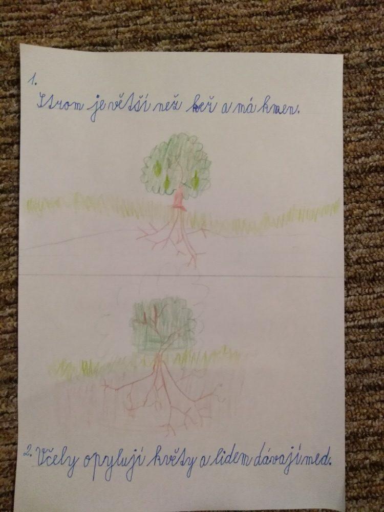 Výstupy druháčků z domácího učení 13. 4. - 22