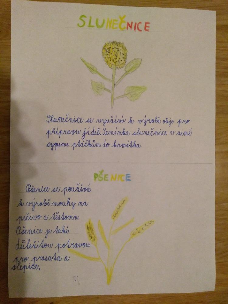 Distanční výuka ve třetí třídě 23. 10. - 53