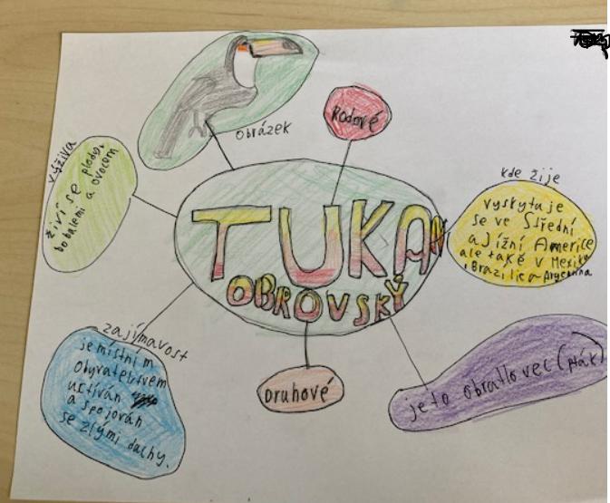 Škola doma v 5.B - 19