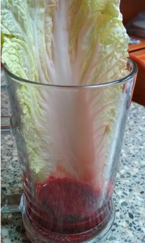 Laboratorní práce FOTOSYNTÉZA v 6.třídě - 17