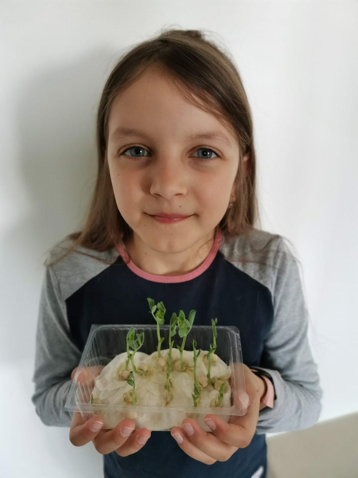 Domácí učení třeťáčků 7. 4. - 29