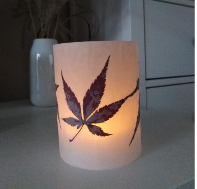 Laboratorní práce FOTOSYNTÉZA v 6.třídě - 19