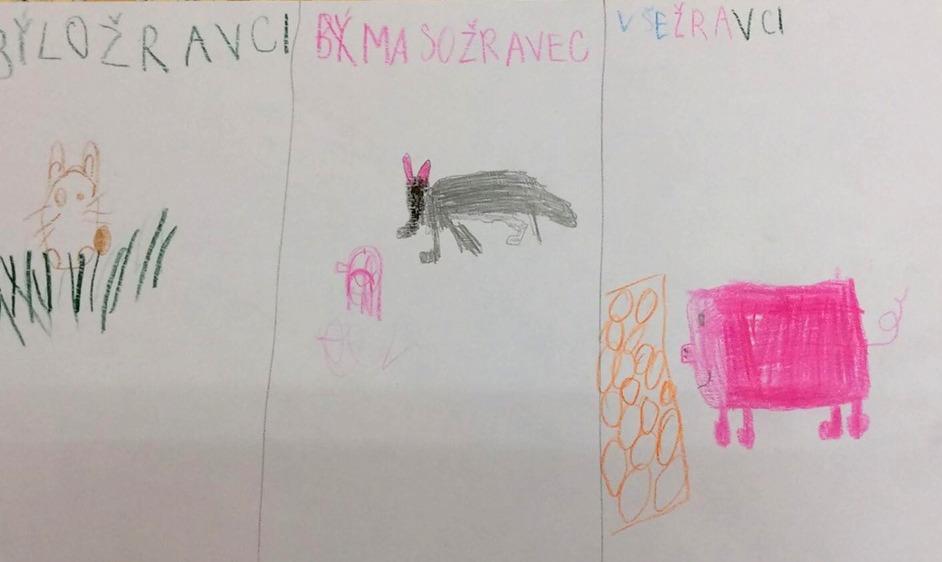 Příroda u třeťáčků 30. 5. - 41