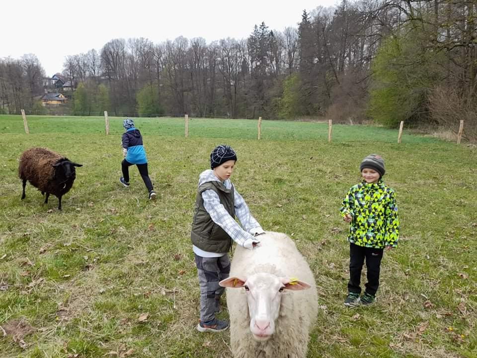 ŠD - návštěva hospodářství u Novotných - 11