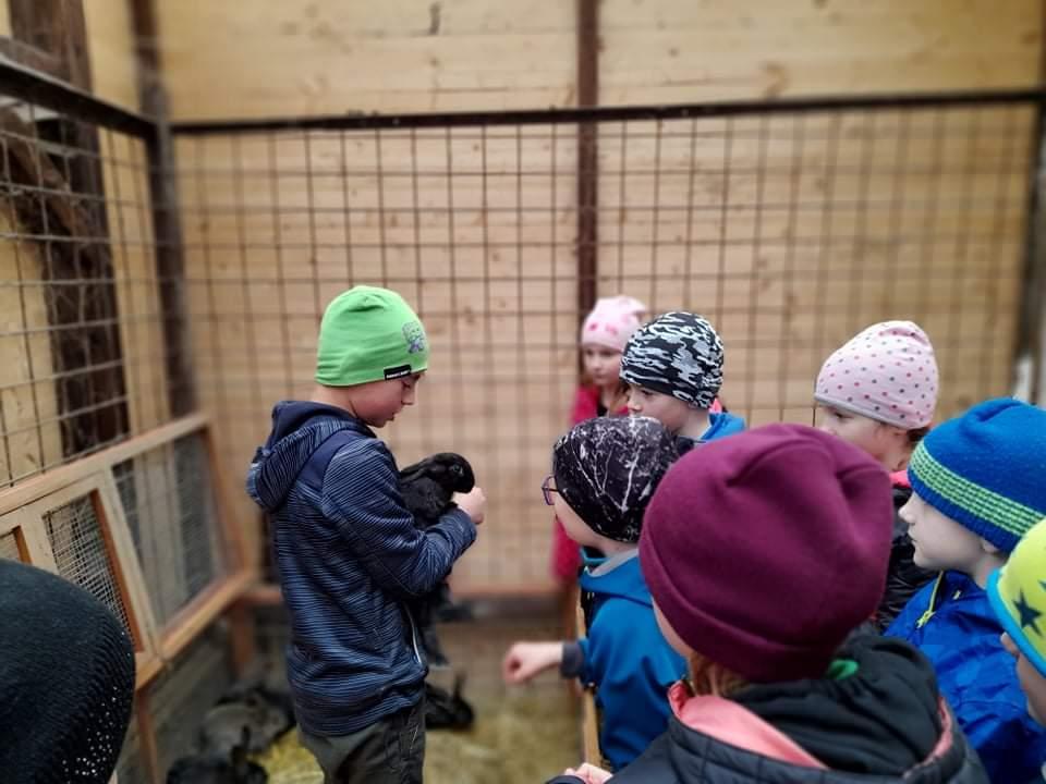 ŠD - návštěva hospodářství u Novotných - 13