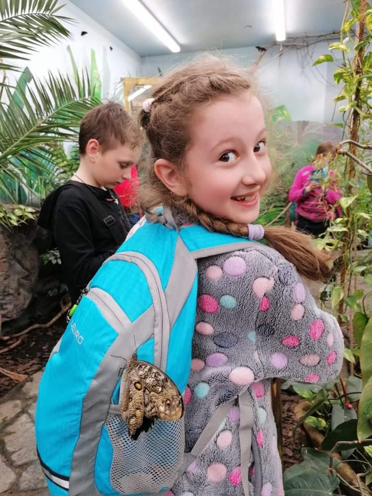 TLAPKY - 2 - motýlci a HAMELYS - 61