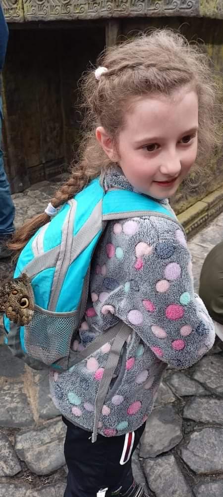 TLAPKY - 2 - motýlci a HAMELYS - 62