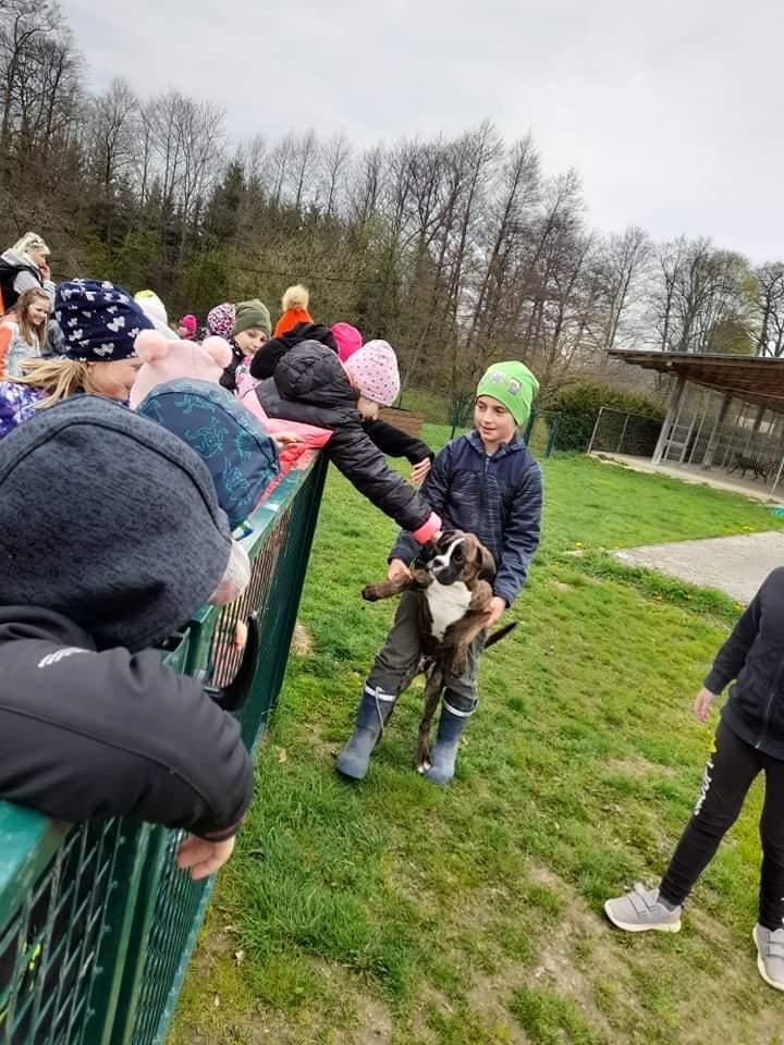 ŠD - návštěva hospodářství u Novotných - 23