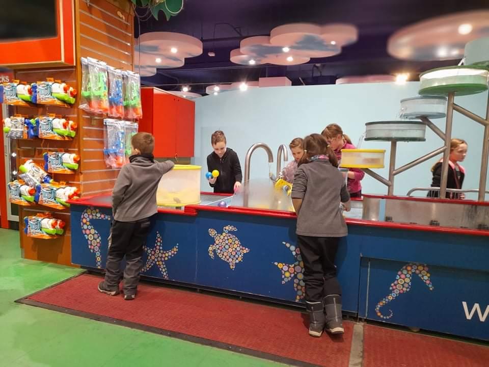 TLAPKY - 2 - motýlci a HAMELYS - 68