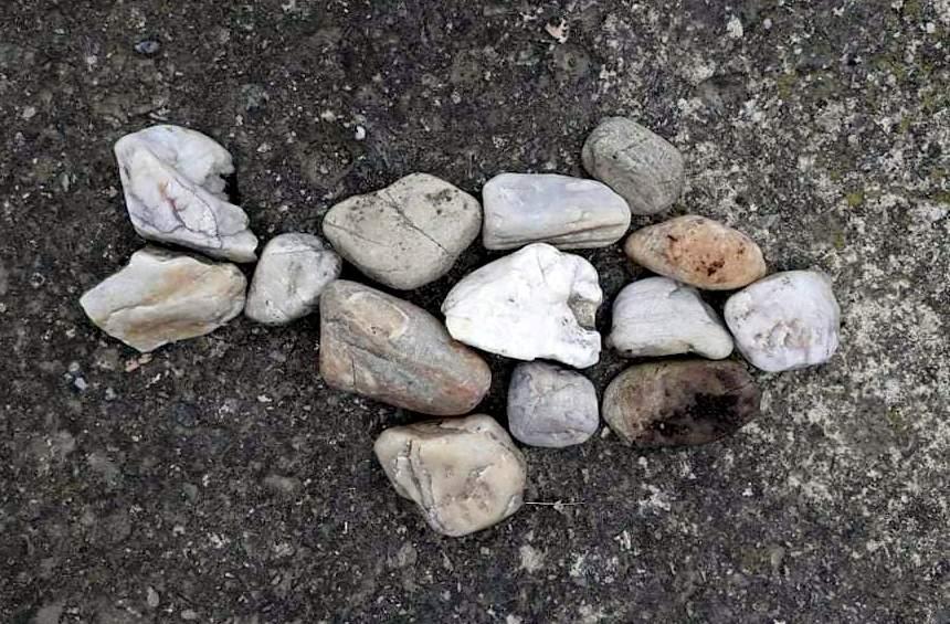 Království ryb u třeťáčků 13. 6. - 51