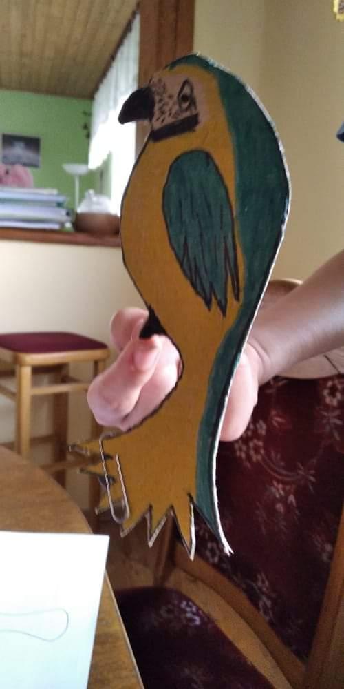 Papoušek na prstu - sedmáci - 15