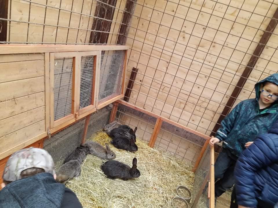 ŠD - návštěva hospodářství u Novotných - 47