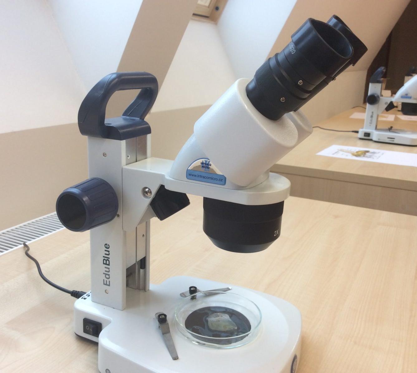 Svět krystalů - 9. třída - 10