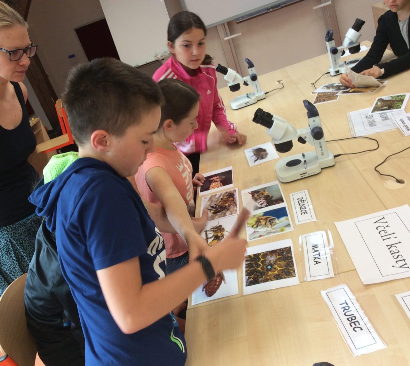Svět včel - žáci 6. třídy - 1