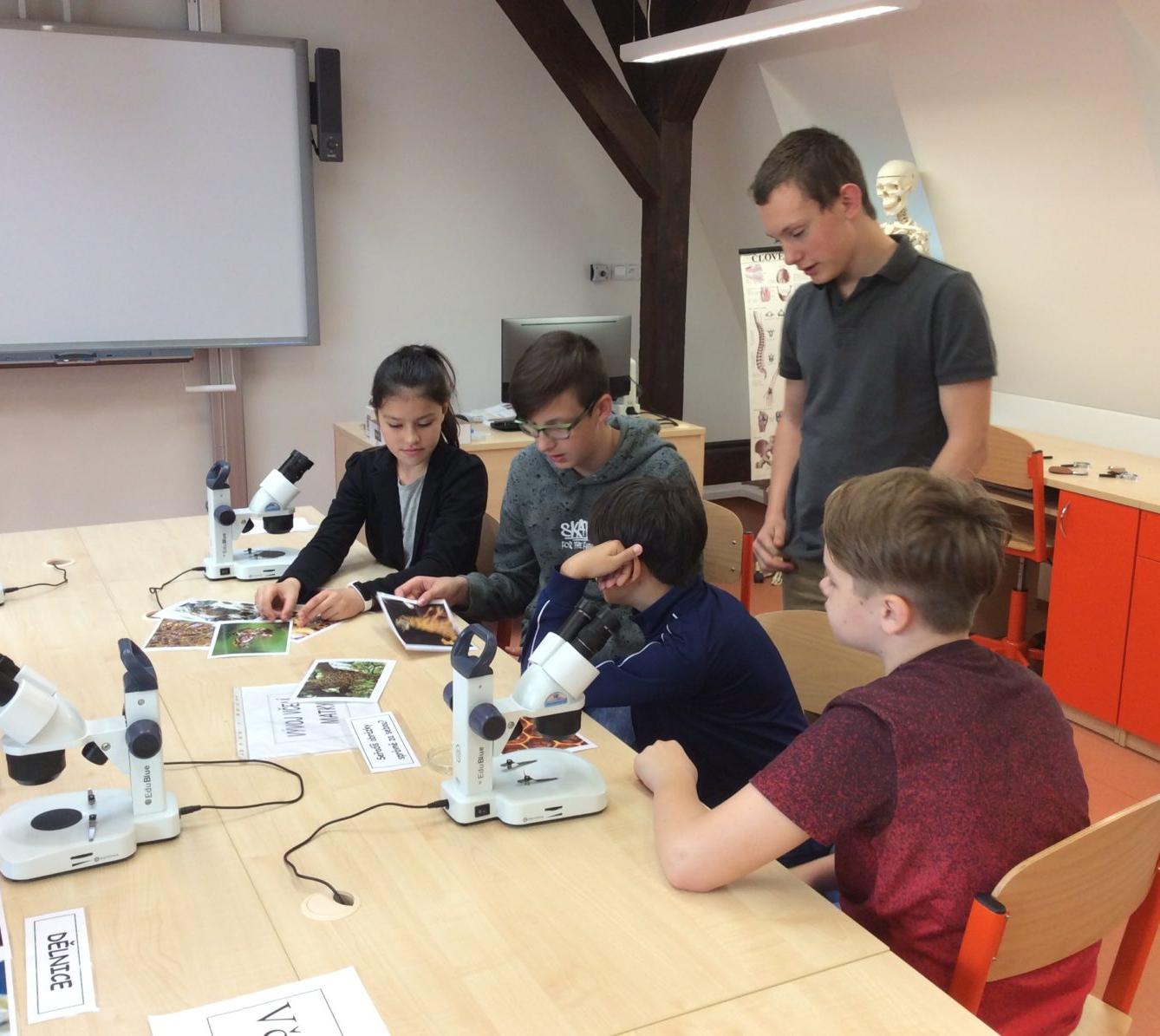 Svět včel - žáci 6. třídy - 2